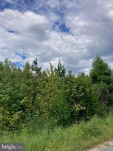 1199 KELLY ROAD