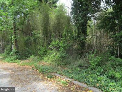 316 JONES STATION ROAD