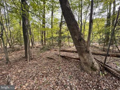 Lot# 140 BISHOP DRIVE
