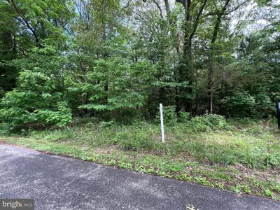 384 DEER DRIVE