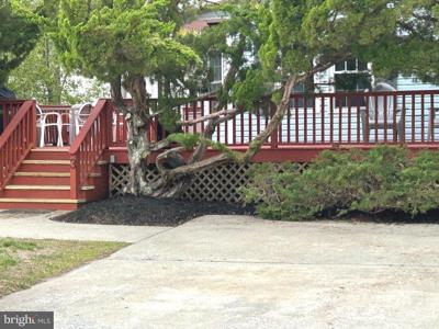 3 BAY VISTA DRIVE