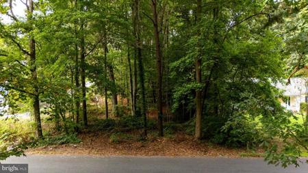 BLACKWATER VLG LOT 1 BLK INDIAN QUEEN LANE