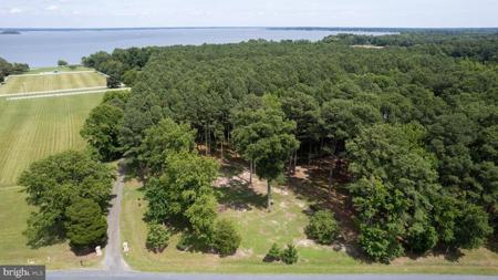 HORNS POINT ROAD