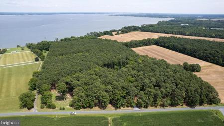 HORNS POINT ROAD