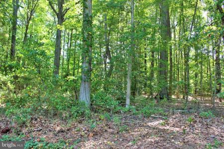 LONG LEAF LANE