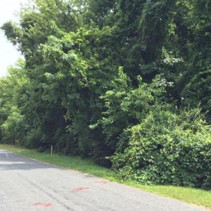 BALTIMORE DRIVE DRIVE