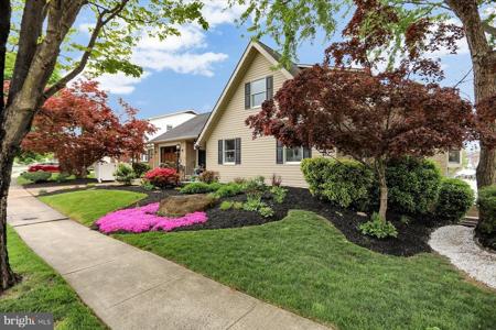 562 ANCHOR DRIVE