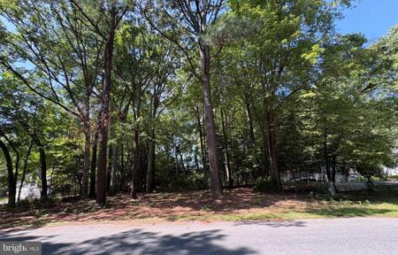 0 SHADY DELL PARK