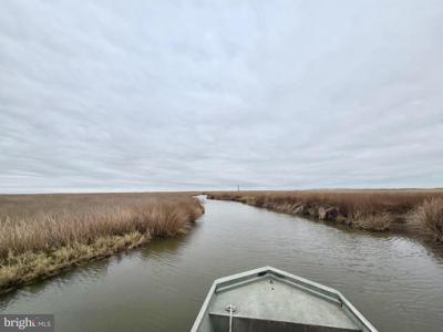 Duck, Sika & Waterfowl MUSKRAT HARBOR