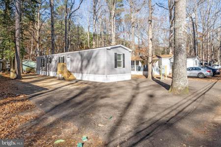 24494 BLUE BOULEVARD