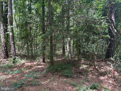 0 PIONEER TRAIL