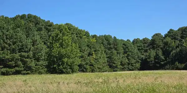 ROLAND PARKS ROAD