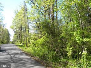 HARRISON DRIVE