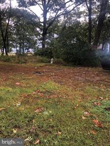 5250 AL JONES DRIVE