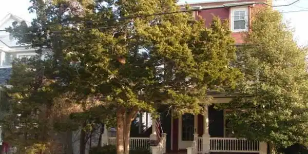 119 SIMPSON AVENUE