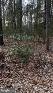 Lot 33 RICHARDSON ST