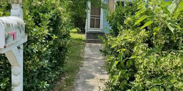 334 MIAMI AVENUE