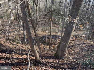 Lot 6 BALD EAGLE DR