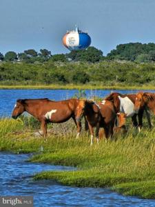 LOT 3 STEPHEN DECATUR