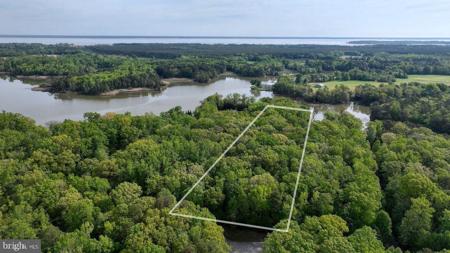 55 BUCKNER CREEK ROAD