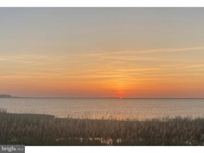 5 HAMMOCK POINT ROAD