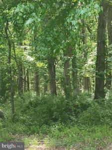 CAULKS FIELD ROAD