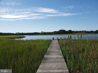 Lot 4A and 4B STEPHEN DECATUR HWY