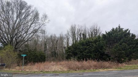 Lot 30Y CLUBHOUSE LOOP