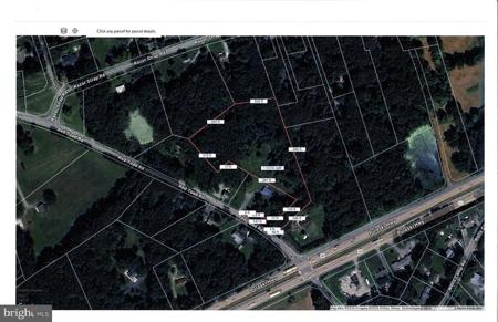 234 RED TOAD ROAD