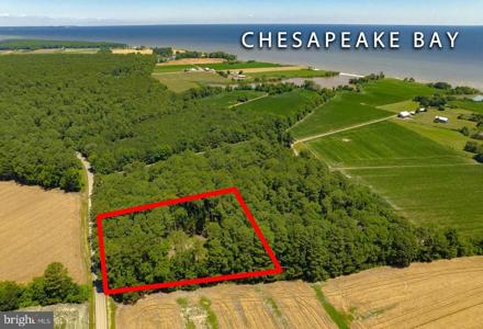 17328 SAINT JEROMES NECK ROAD