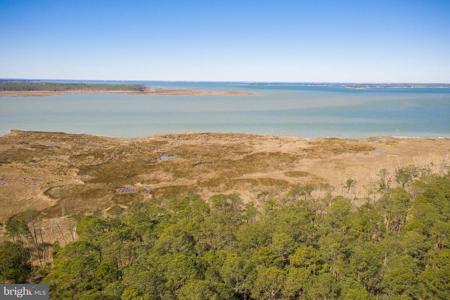 4926 TIMBERMARSH LANE