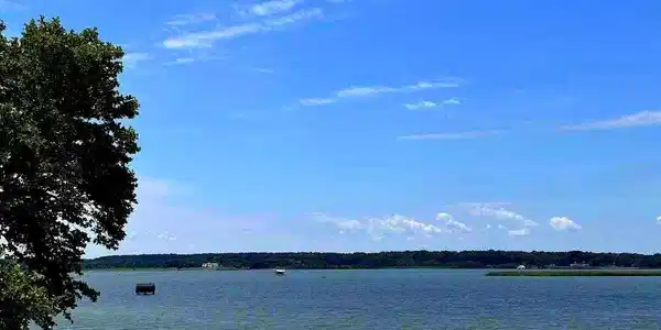 300 WOODS POINT ROAD