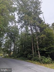 FOX TRAIL TRAIL