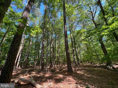 Parcel 40 REVELLS NECK ROAD