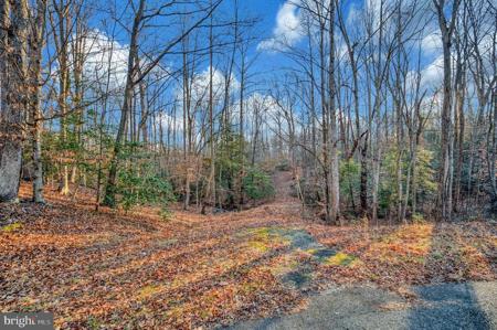 93 DENT ROAD