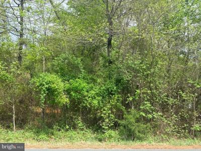 856 CRYSTAL ROCK ROAD