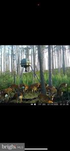 2265 WINGATE BISHOPS HEAD ROAD