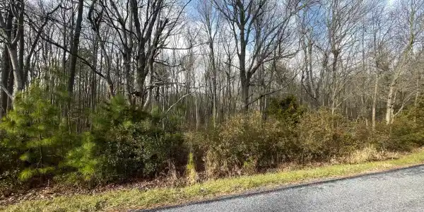 Lot 1 PICKERING BEACH ROAD