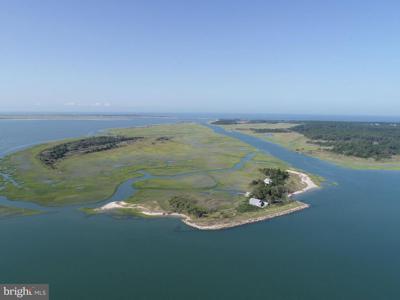 5374 RAMP LANE (TRACT HOLLY BLUFF & RACOON ISLAND)