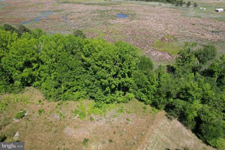 Parcel 228 FISHHOOK LANE