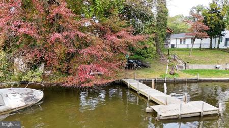 8198 FOREST GLEN DRIVE