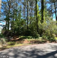 11043 PINEY ISLAND DRIVE