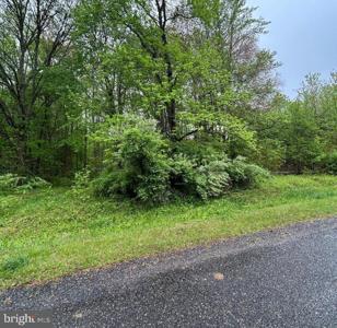 KINGLET ROAD
