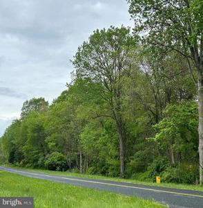 BUCK NECK ROAD
