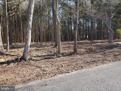 0 CEDAR LANDING DRIVE