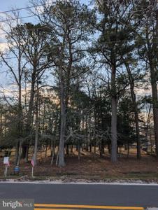 7 WOODLAND AVENUE