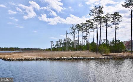 Lot #271 WAR DANCER LANE