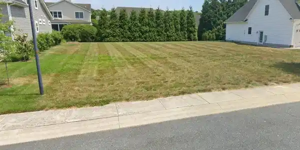 223 UNIVERSITY DRIVE