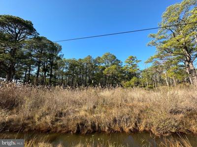 11006 RILEY ROBERTS ROAD