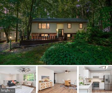 313 WILLIAM WAY